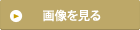 画像を見る